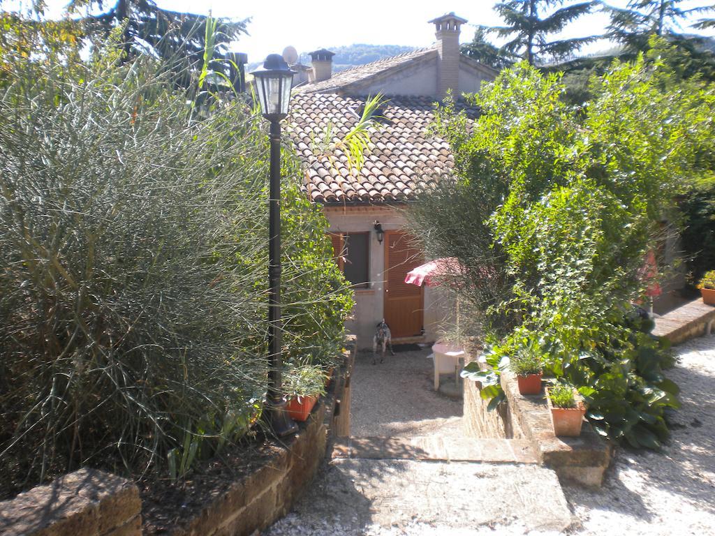 Agriturismo Le Vergare Offagna エクステリア 写真